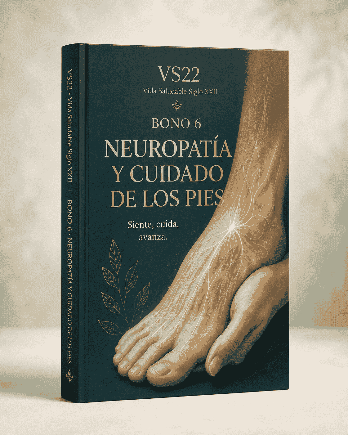 Portada de Neuropatía y cuidado de los pies